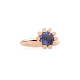 Roségold, Ringe, Bron Sprite Ring 8RR4589IO